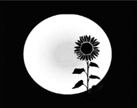 Sunflower Moon Coaching, LLC