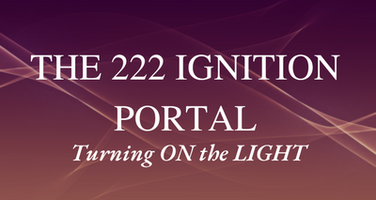 The 222 Ignition Portal
