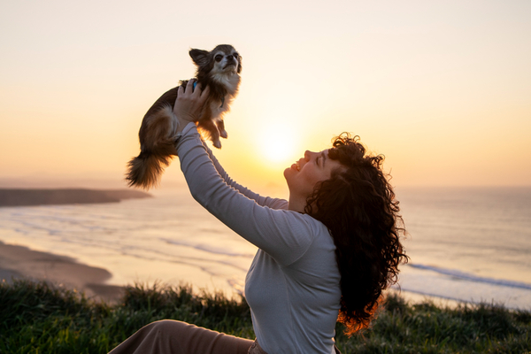 The Art of Mediumship: Connecting with Loved Ones and Animals